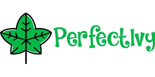 Perfectivy